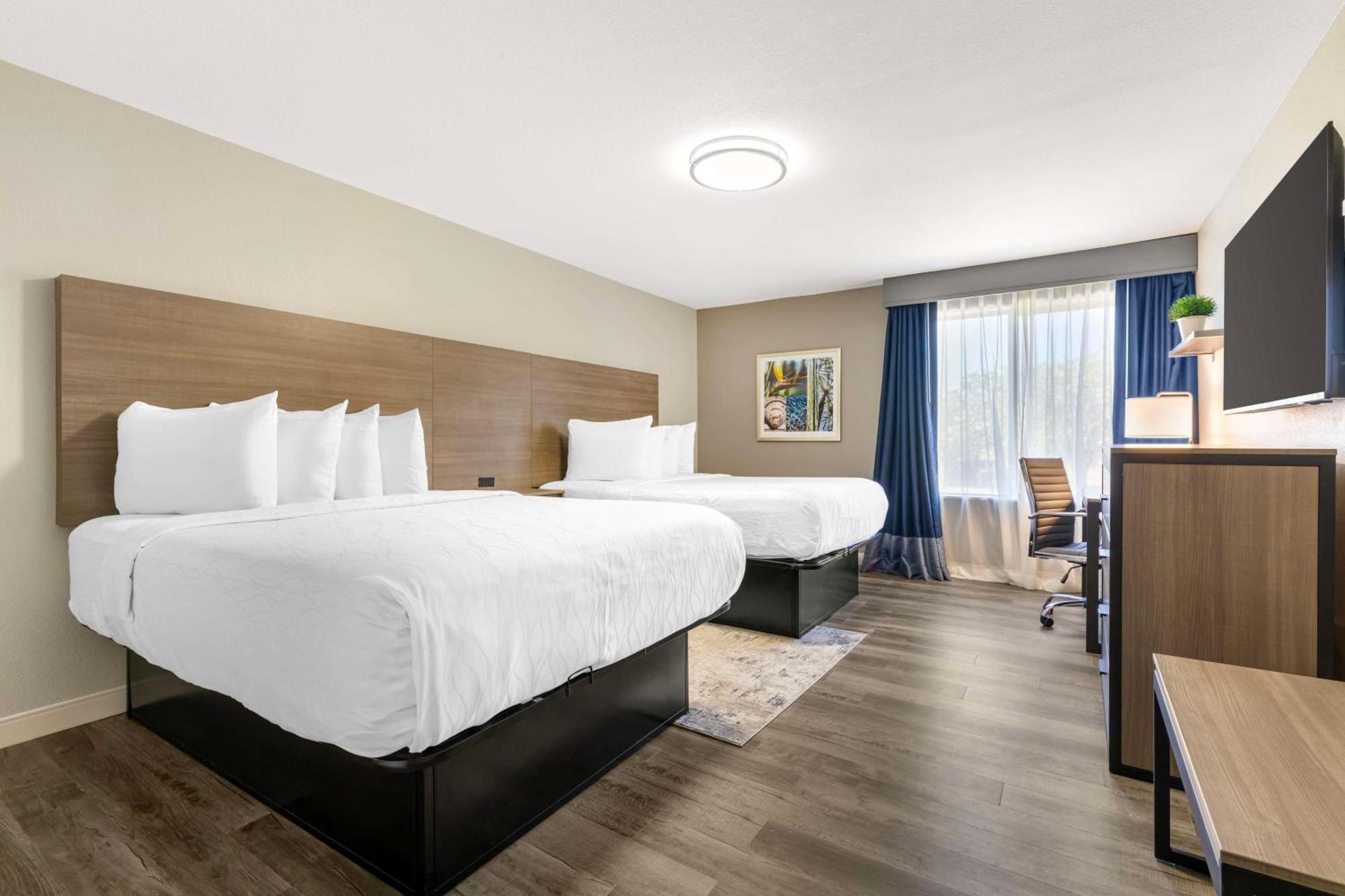 Best Western Plus Lewisville Flower Mound Ngoại thất bức ảnh