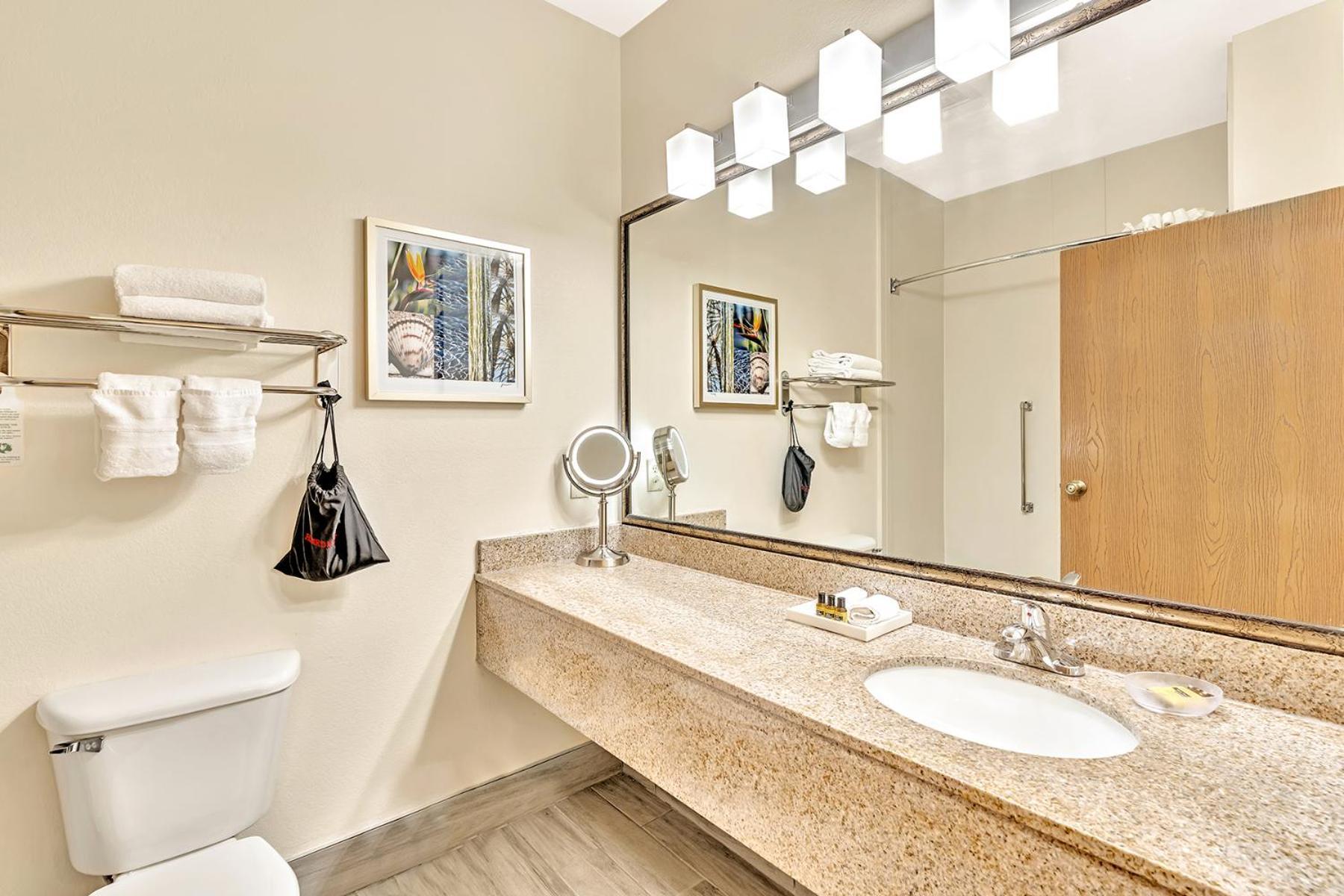 Best Western Plus Lewisville Flower Mound Phòng bức ảnh
